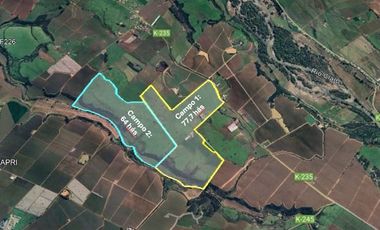 Agrícola en Venta en San Gregorio Parcela 68