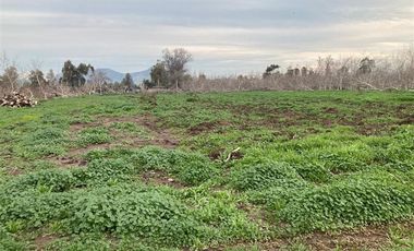 Parcela en Venta en condominio las viñas de chacabuco