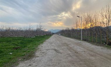 Parcela en Venta en condominio las viñas de chacabuco