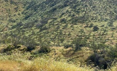 Parcela en Venta en Venta Parcela 5.017mt Condominio Curacaví Sin Comisión