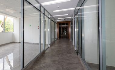 ALQUILER DE OFICINAS EN PUNTA PAITILLA