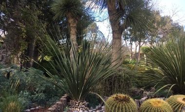 Vente de terreno comercial  Los Gonzalez Saltillo