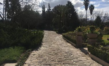 Vente de terreno comercial  Los Gonzalez Saltillo