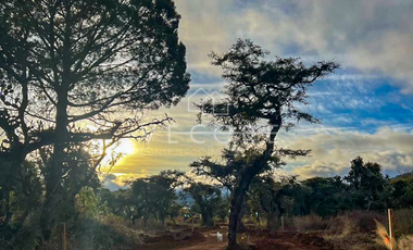TERRENO EN VENTA EN ATEMAJAC DE BRIZUELA, JALISCO