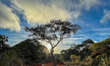 TERRENO EN VENTA EN ATEMAJAC DE BRIZUELA, JALISCO