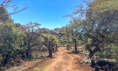 TERRENO EN VENTA EN ATEMAJAC DE BRIZUELA, JALISCO