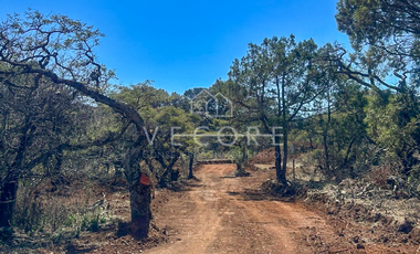 TERRENO EN VENTA EN ATEMAJAC DE BRIZUELA, JALISCO