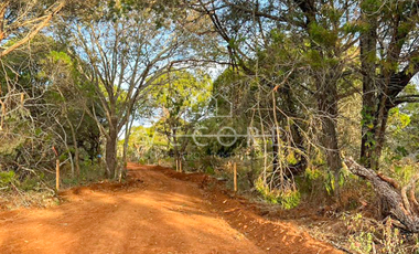 TERRENO EN VENTA EN ATEMAJAC DE BRIZUELA, JALISCO