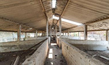 TERRENO EN VENTA EN CARRETERA LA ALAJA, JUANACATLAN