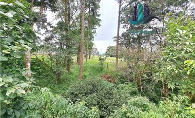 VENDO LOCAL COMERCIAL EN BOQUETE