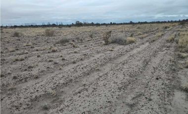 VENTA DE FINCA 21 HAS EN ALTO VERDE- JUNIN, MZA.