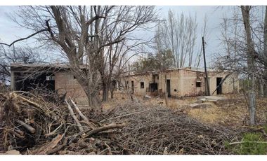 VENTA DE FINCA 21 HAS EN ALTO VERDE- JUNIN, MZA.