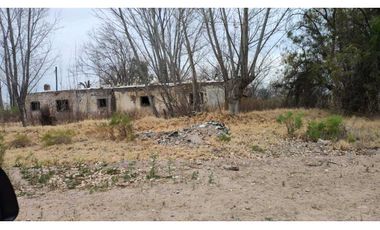 VENTA DE FINCA 21 HAS EN ALTO VERDE- JUNIN, MZA.