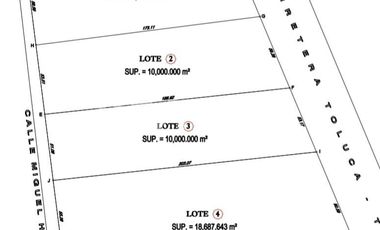 VENTA DE TERRENO SOBRE CARRETERA TOLUCA-TENANGO; CALIMAYA 4.6H - (3)