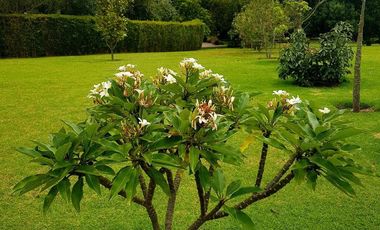 Amplia Quinta en Venta de 2 hectáreas, con seguridad y áreas comunales, sector la Armenia, Quito