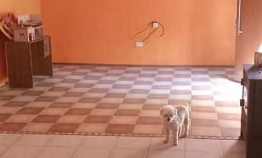 VENTA Chacra en  Allen