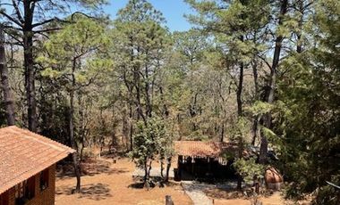 Cabaña en Pinares Tapalpa