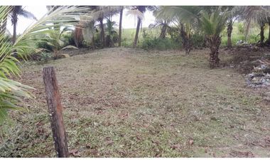 FINCA EN COLÓN