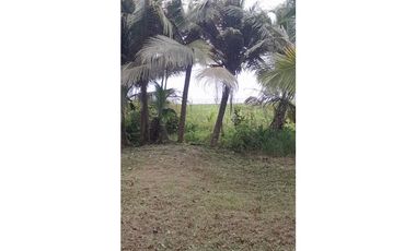 FINCA EN COLÓN