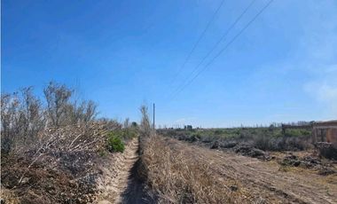 VENTA DE FINCA DE 13 HAS SOBRE RUTA 7, EN LA DORMIDA, SANTA ROSA-MZA.