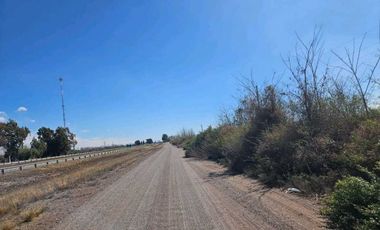 VENTA DE FINCA DE 13 HAS SOBRE RUTA 7, EN LA DORMIDA, SANTA ROSA-MZA.