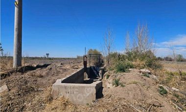 VENTA DE FINCA DE 13 HAS SOBRE RUTA 7, EN LA DORMIDA, SANTA ROSA-MZA.