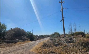 VENTA DE FINCA DE 13 HAS SOBRE RUTA 7, EN LA DORMIDA, SANTA ROSA-MZA.