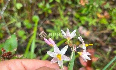 Sitio en Venta en Cauquenes, cordillera Maulina