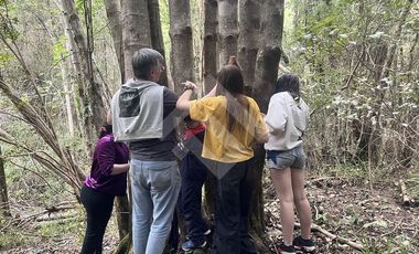 Parcela en Venta en Cauquenes, cordillera Maulina