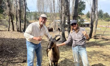 Parcela en Venta en Cauquenes, cordillera Maulina