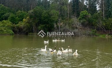 Terreno Construccion  en Venta en Cauquenes, cordillera Maulina