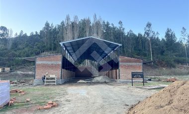 Terreno Construccion  en Venta en Cauquenes, cordillera Maulina