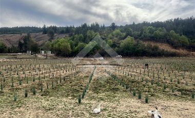 Terreno Construccion  en Venta en Cauquenes, cordillera Maulina