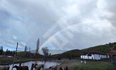 Terreno Construccion  en Venta en Cauquenes, cordillera Maulina