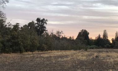 Sitio en Venta en Ruta 5 Norte/. Carretera Gnal San Martin, Lo Pinto. Chicureo