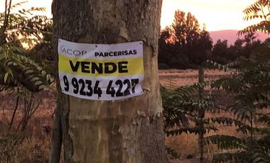 Sitio en Venta en Ruta 5 Norte/. Carretera Gnal San Martin, Lo Pinto. Chicureo