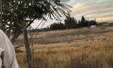 Sitio en Venta en Ruta 5 Norte/. Carretera Gnal San Martin, Lo Pinto. Chicureo