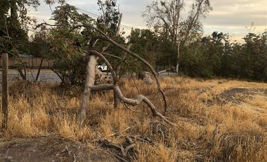 Sitio en Venta en Ruta 5 Norte/. Carretera Gnal San Martin, Lo Pinto. Chicureo
