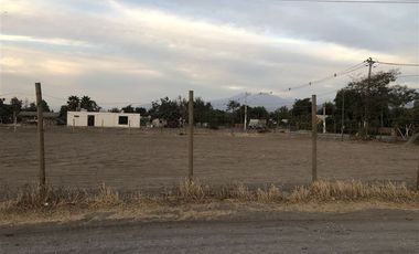 Sitio en Venta en Ruta 5 Norte/. Carretera Gnal San Martin, Lo Pinto. Chicureo