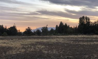 Sitio en Venta en Ruta 5 Norte/. Carretera Gnal San Martin, Lo Pinto. Chicureo