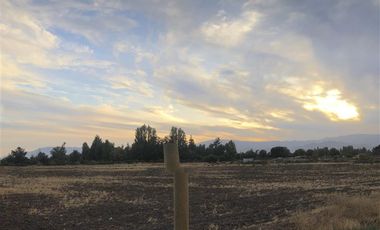 Sitio en Venta en Ruta 5 Norte/. Carretera Gnal San Martin, Lo Pinto. Chicureo