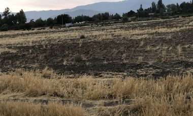 Sitio en Venta en Ruta 5 Norte/. Carretera Gnal San Martin, Lo Pinto. Chicureo