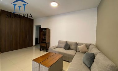 Increíble Departamento Amueblado