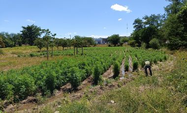 Terreno en venta en Acatlán Puebla, (Frente a hospital general).: