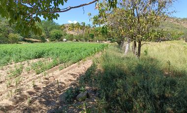 Terreno en venta en Acatlán Puebla, (Frente a hospital general).: