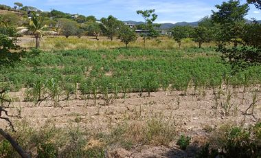 Terreno en venta en Acatlán Puebla, (Frente a hospital general).:
