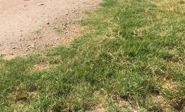Terreno en venta en Acatlán de Osorio Puebla zona Centro