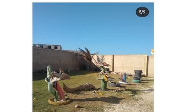 PUNTA ROCA-SABANILLA