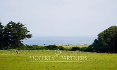 Pichilemu, ¨Precioso Terreno Rural en El Pangal
