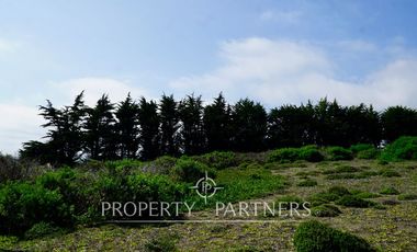Pichilemu, ¨Precioso Terreno Rural en El Pangal